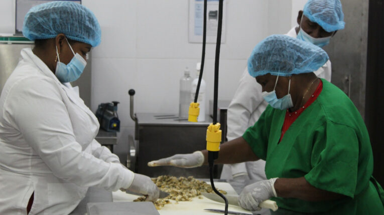 Imagen referencial de trabajadores en una planta de producción de camarón. Abril de 2023.
