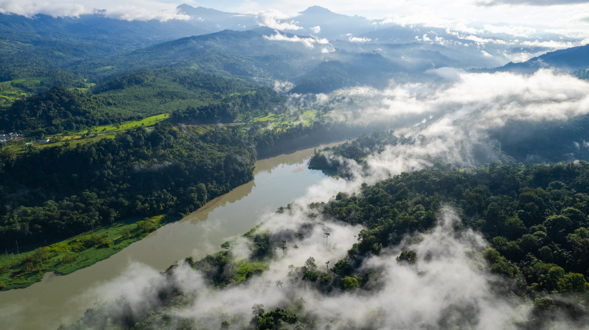 Imagen del Chocó Andino con nueves y bosque de fondo