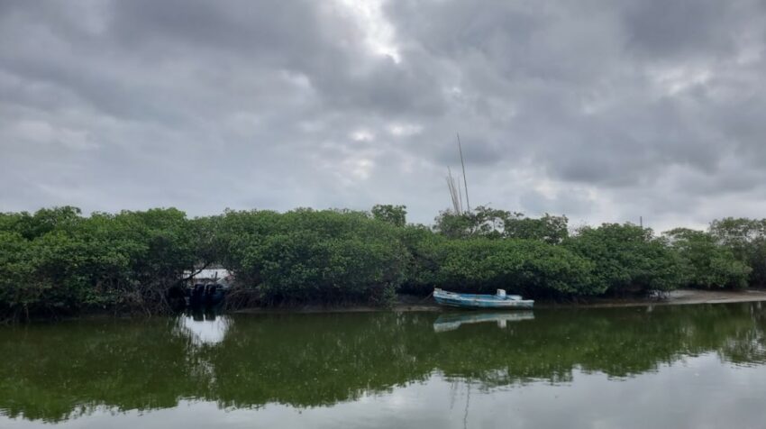 En un estero en General Villamil Playas, la Policía incautó dos lanchas y dos motores de 20 caballos de fuerza, presuntamente usados para trasladar droga de Playas hasta buques mercantes frente a la parroquia de Posorja.