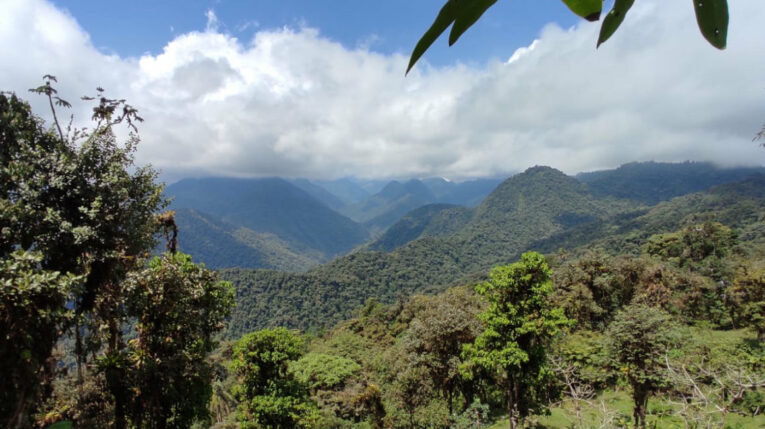 Zona núcleo del Chocó Andino, dentro de una concesión minera, en Nanegalito.