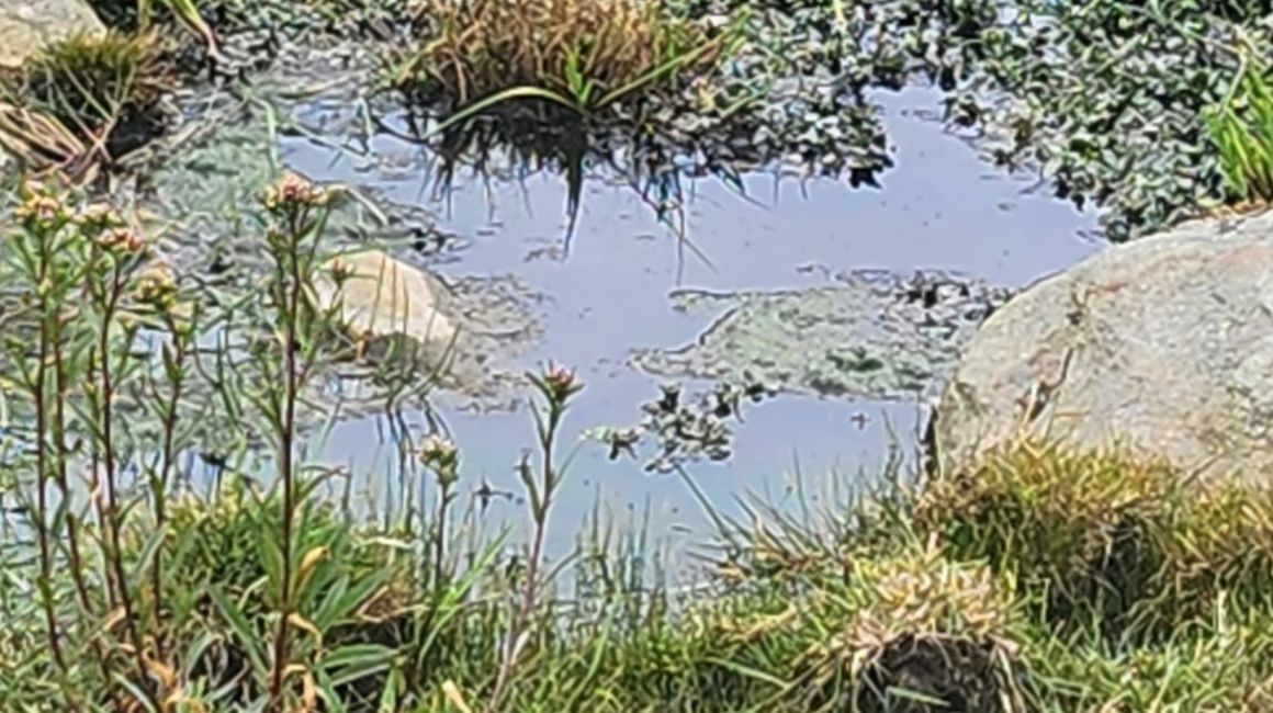 Agua contaminada en el Parque Nacional Cajas.