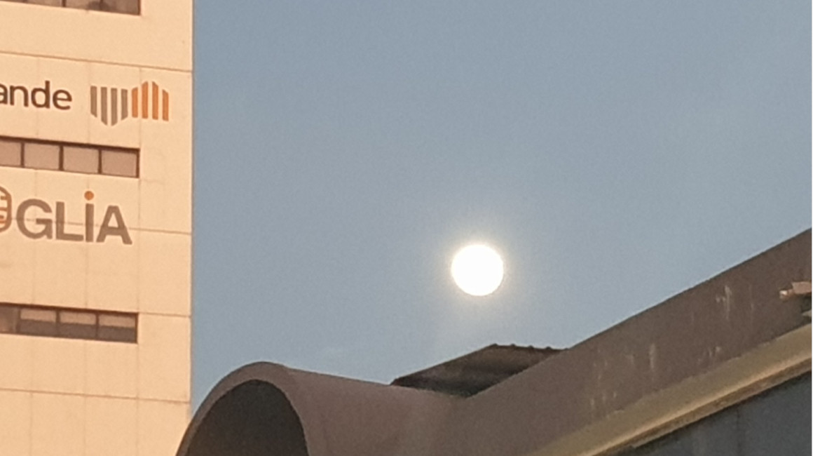 Luna de ciervo en Guayaquil