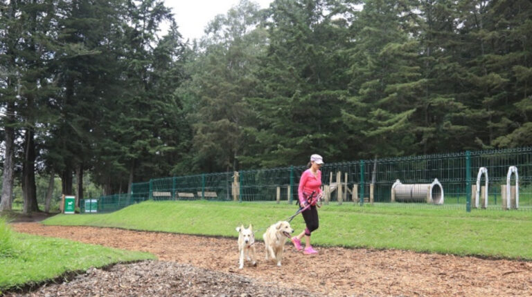 Una mujer pasea con sus perros en el parque La Armenia en enero de 2022.