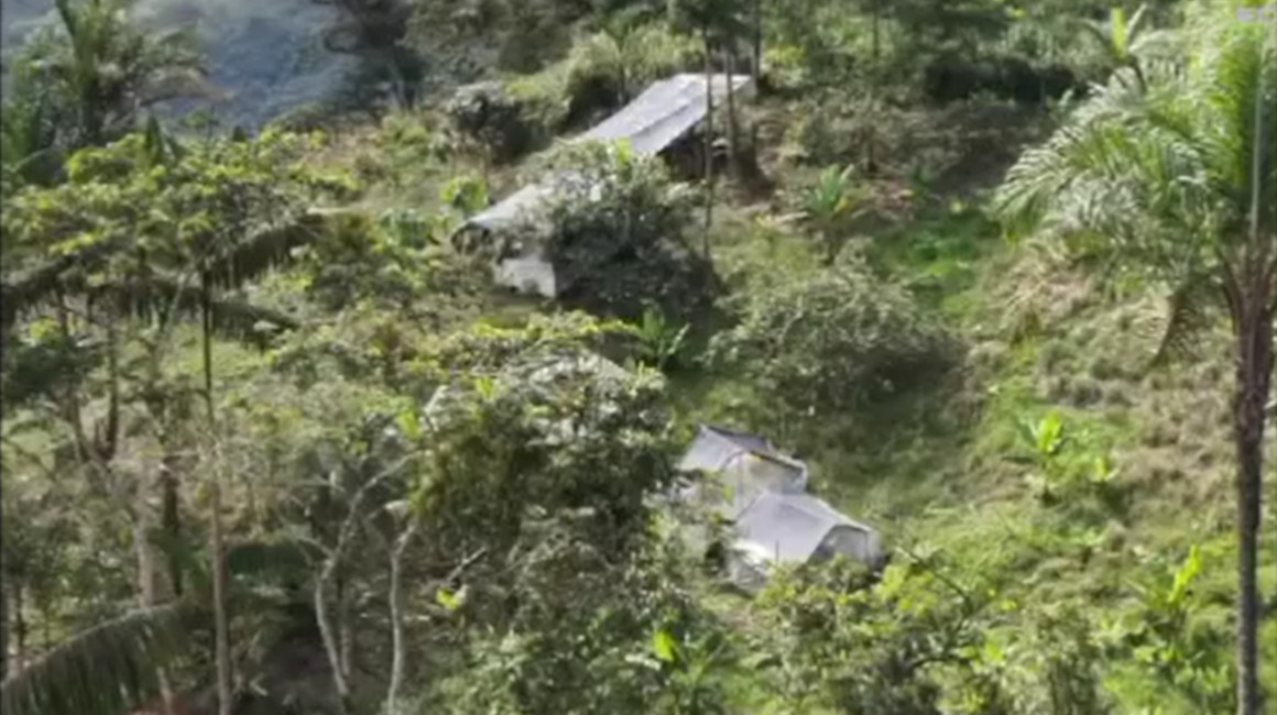 Una hectárea de plantas de coca destruida en Esmeraldas