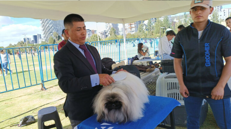 Raúl Achote, estilista de perros, en una feria de mascotas en el parque La Carolina, en el centro norte de Quito, el 27 de agosto de 2023.