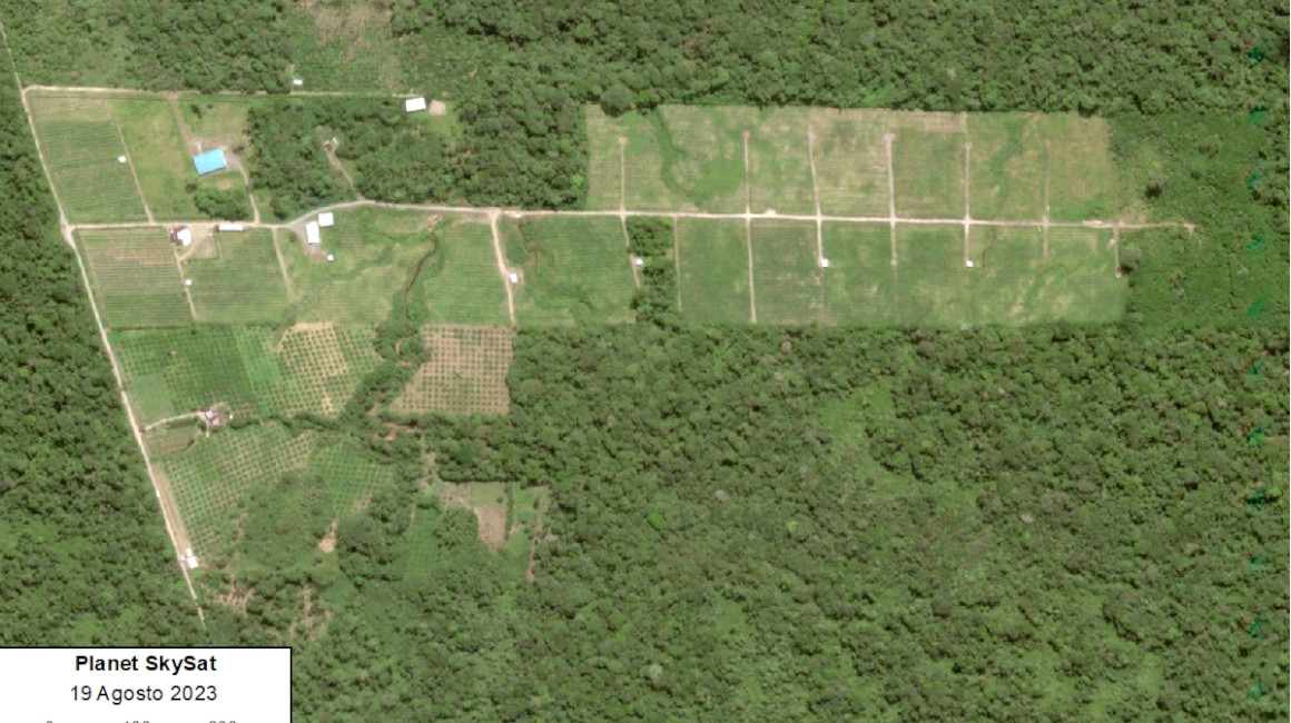 Vista satelital de la extensión de los cultivos de pitahaya en Morona Santiago, agosto de 2023. 