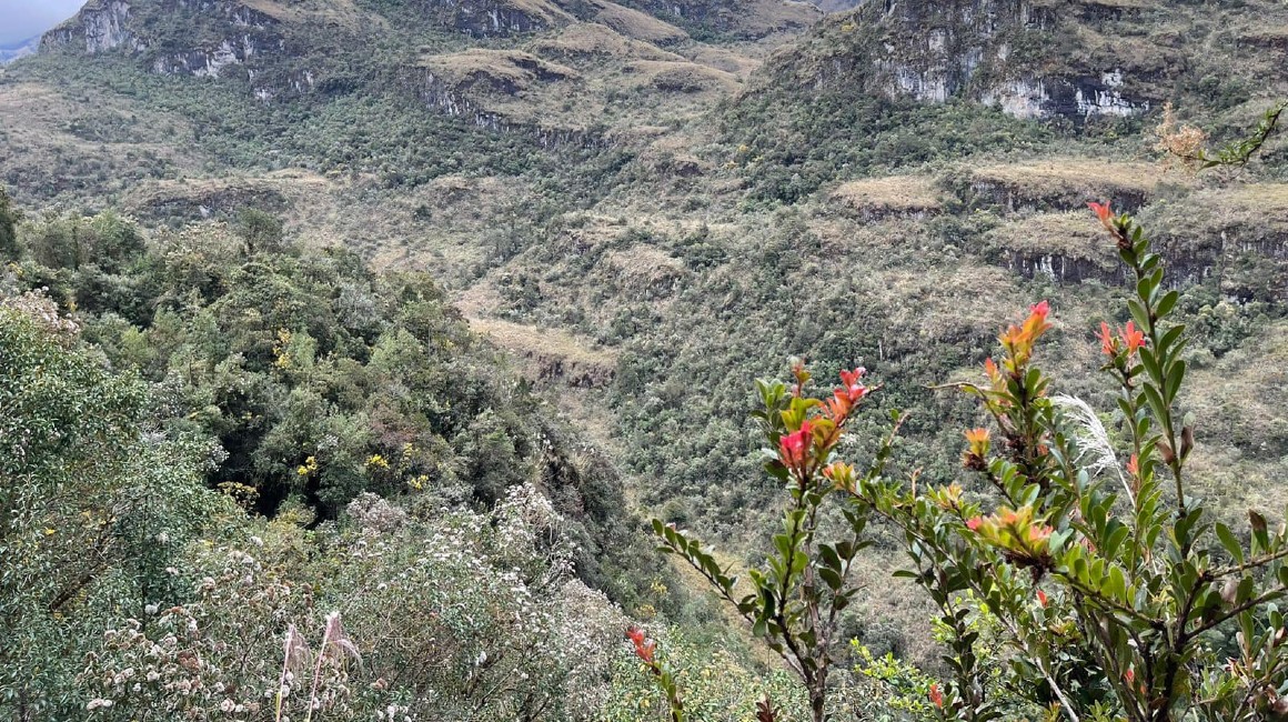Imagen del Refugio de Vida Silvestre Machángara Tomebamba, nueva zona proegida de Ecuador.