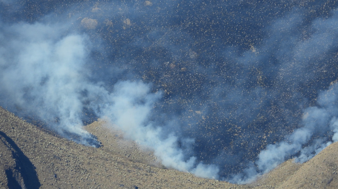 Daños provocados por incendio forestal en Tulcán el 25 de septiembre de 2023.
