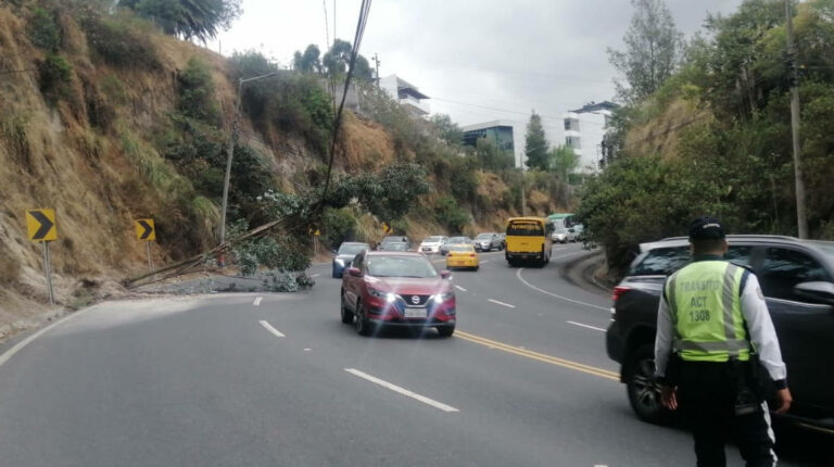 Carril de la avenida Interoceánica, en Cumbayá, es cerrado por caída de un árbol