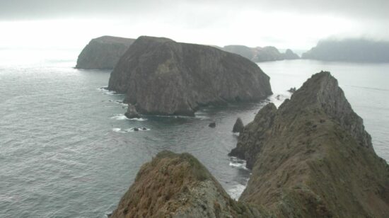 Claves para la colonización de islas continentales