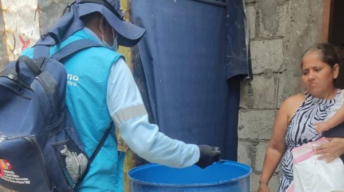 Aumento de dengue y mosquitos en Ecuador