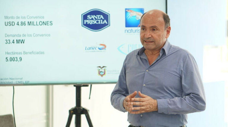 Antonio Icaza, exgerente de CNEL, durante la rendición de cuentas de su gestión, en marzo de 2022.