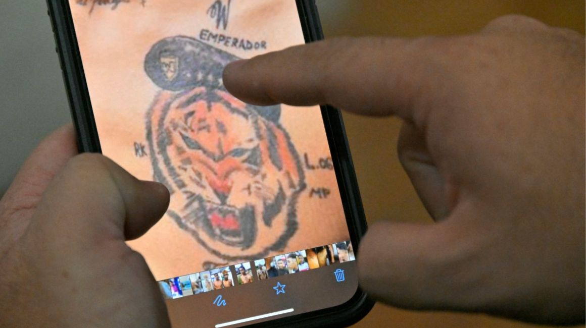 Una fotografía muestra el tatuaje de un animal salvaje en el pecho de un integrante de una banda delictiva.