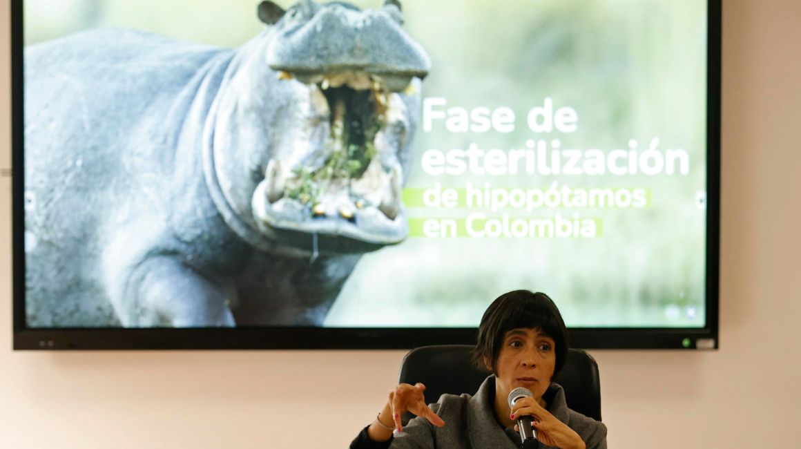 La ministra de Ambiente y Desarrollo Sostenible de Colombia, Susana Muhamad, habla durante una rueda de prensa sobre la Fase de esterilización de hipopótamos en Colombia, en Bogotá (Colombia), el 2 de noviembre de 2023.