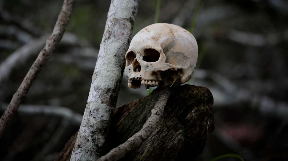 Fotografía de un cráneo humano en una orilla del río Tuquesa, el 14 de septiembre de 2023 en la selva del Darién.