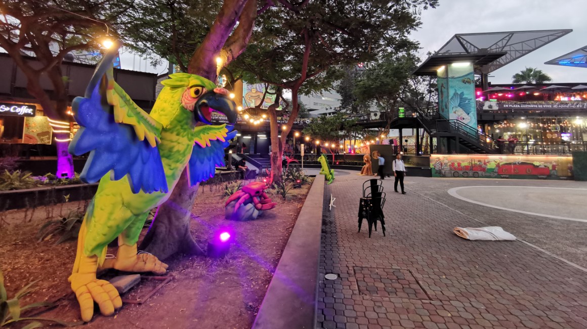 Coloridas representaciones de animales de la región en espuma hacen parte de la nueva identidad de la plaza Guayarte.