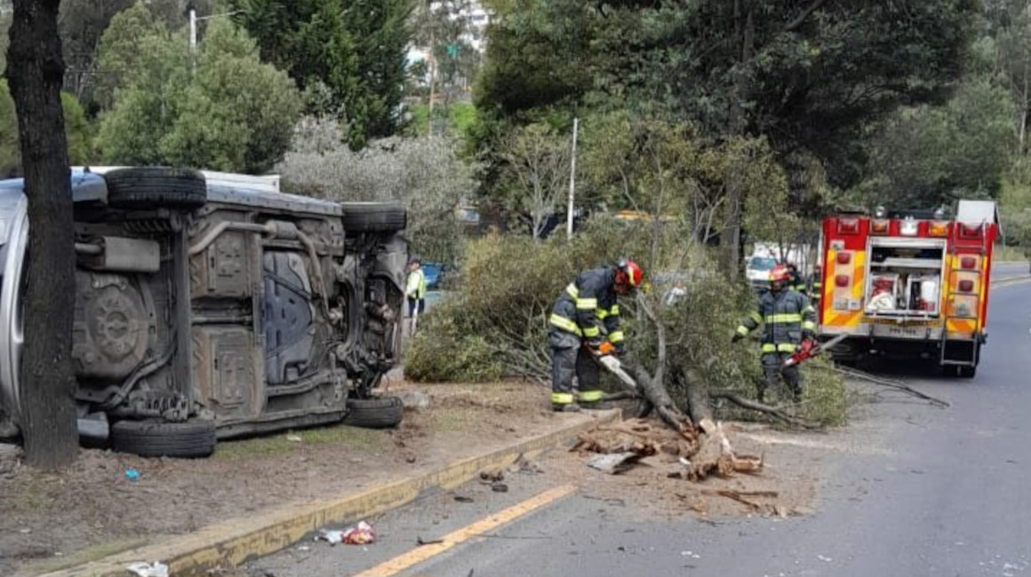 Bomberos de Quito retiran pedazos de un árbol, tras un accidente de tránsito, el 22 de octubre de 2023.