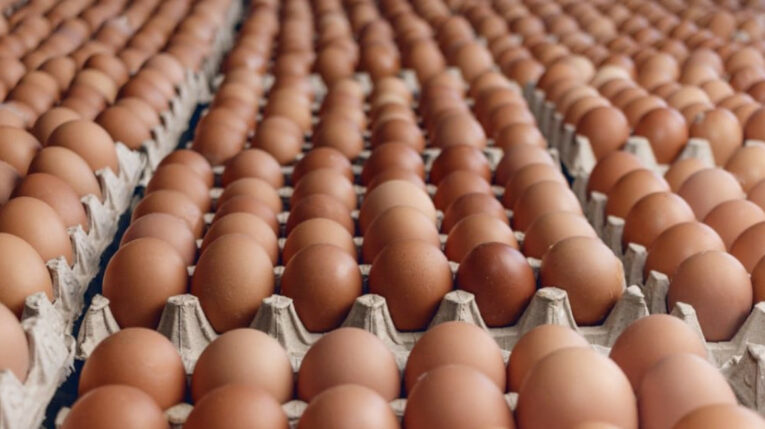 Imagen referencial de cubetas de huevos.
