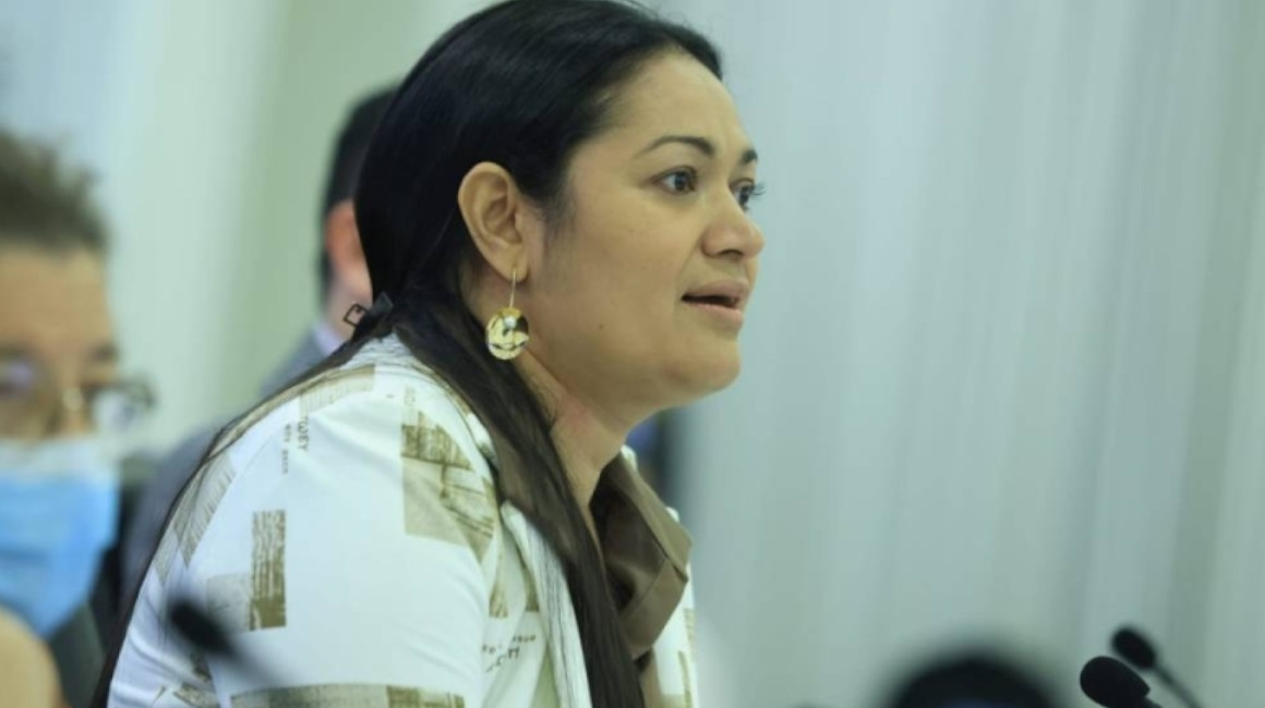 Claudia Juana Rodríguez, es la presidente interina de El Salvador