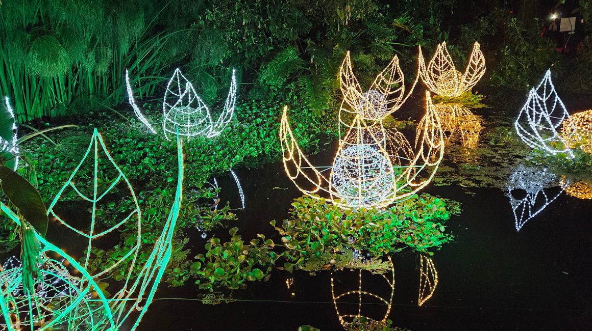 'Bosque de Luz', instalación en el Jardín Botánico Quito, dentro del Parque La Carolina.