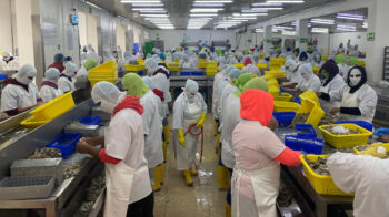 Trabajadores en una planta de camarón en Manabí. Foto del 22 de abril de 2023.
