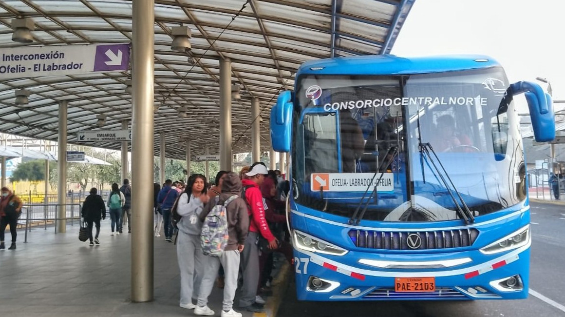 Imagen referencial de un bus del transporte publico en Quito, el 17 de diciembre de 2023.