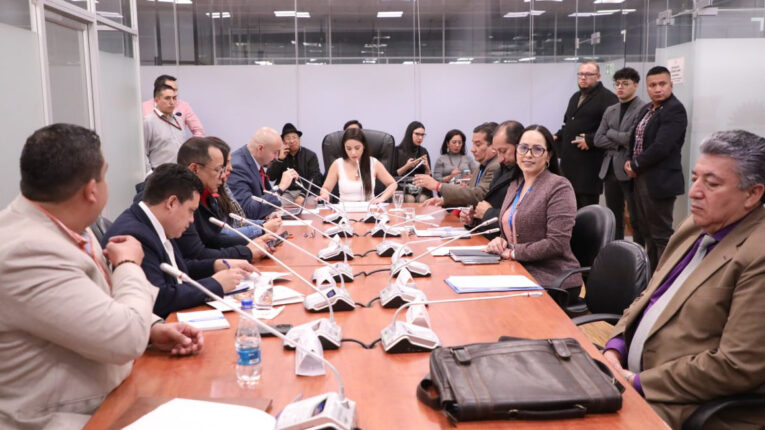 Miembros de la Comisión de Fiscalización de la Asamblea Nacional durante una reunión, el 17 de enero de 2024.