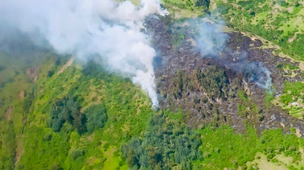 Incendio forestal en el cerro Ilaló el 23 de enero del 2024.