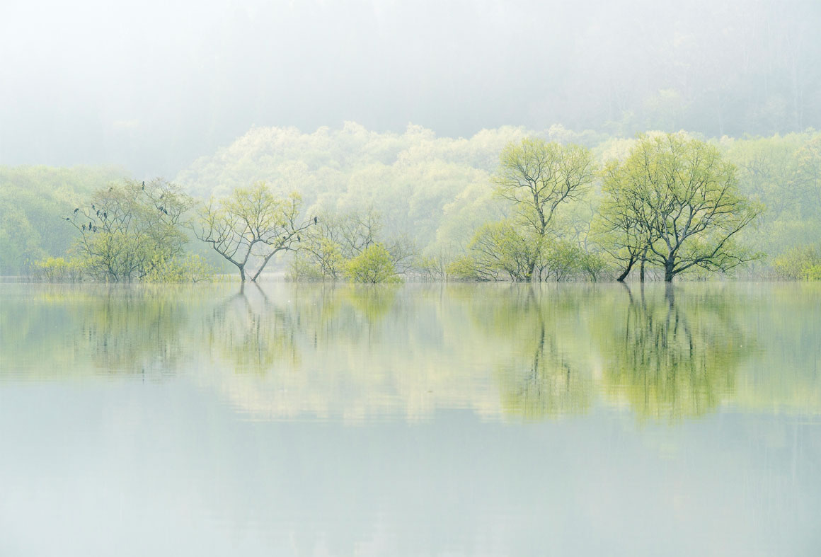 Otra imagen que llamó la atención en la categoría Paisajes y Medio Ambiente fue la del japonés Kazuaki Koseki, del lago Shirakawa, en Japón.