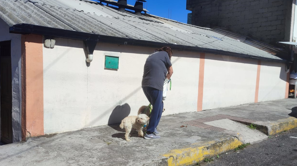 Una mujer recoge los desechos de sus animales, el 24 de enero de 2024 en Quito.
