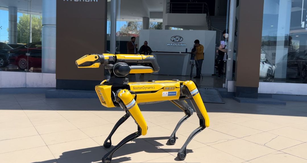 Perro robot de Hyundai en Quito, Ecuador