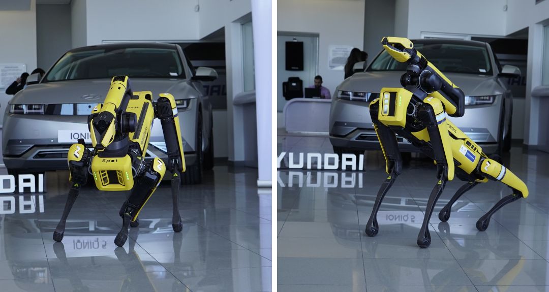 Perro robot de Hyundai en Quito, Ecuador