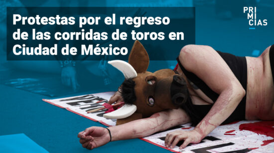 Protestas por regreso de las corridas de toros en Ciudad de México