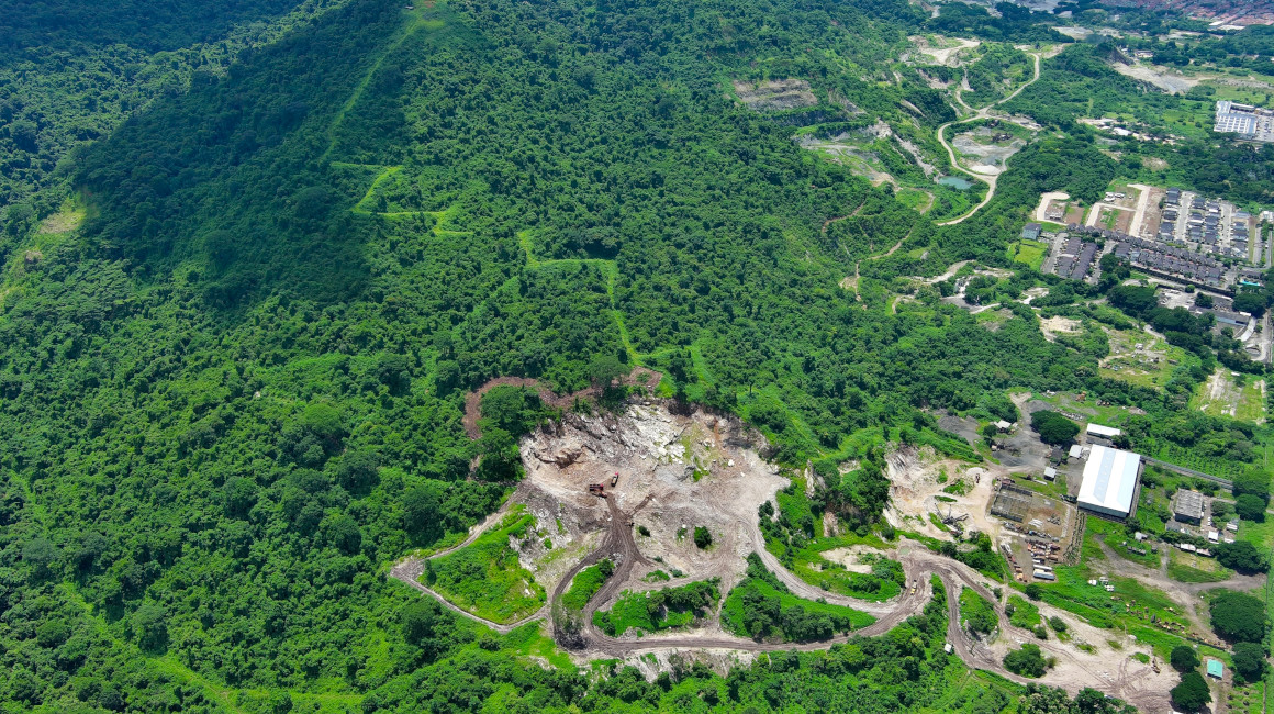 Cerro Blanco: ¿qué especies atesora y por qué es importante para Guayaquil?
