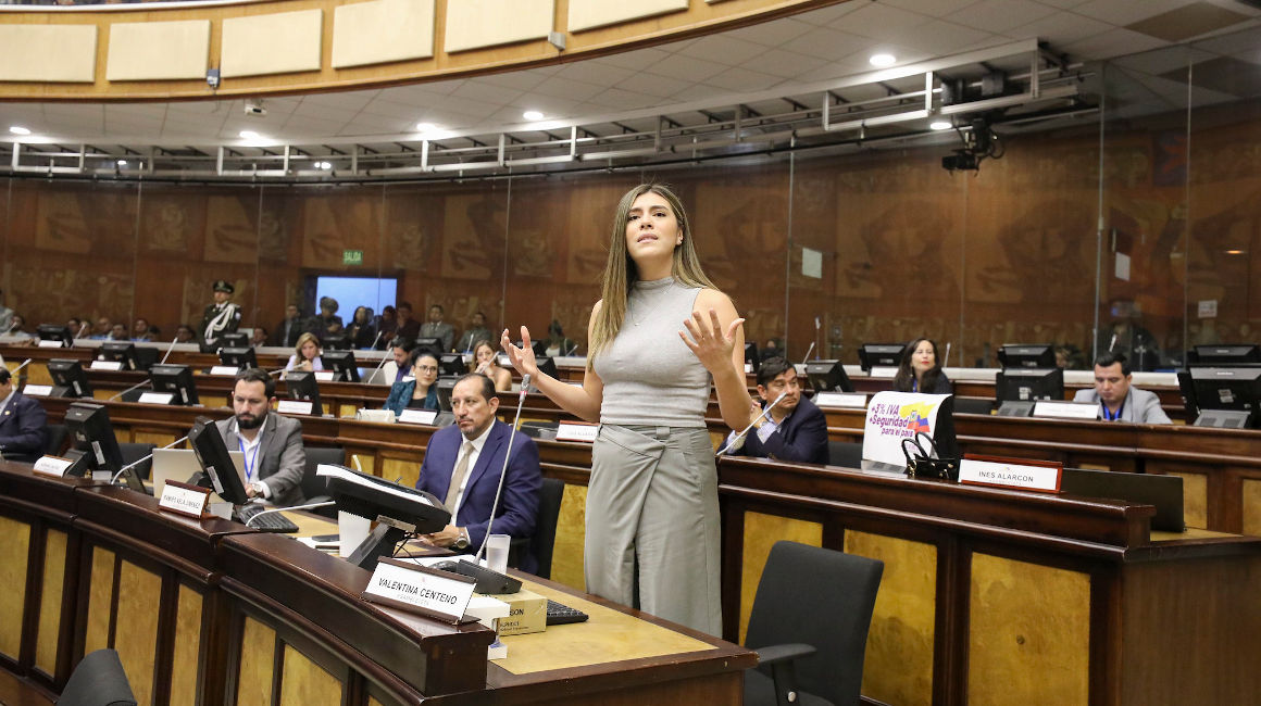 La asambleísta del oficialismo, Valentina Centeno, durante el debate de la ley para subir el IVA, el 6 de febrero de 2024.