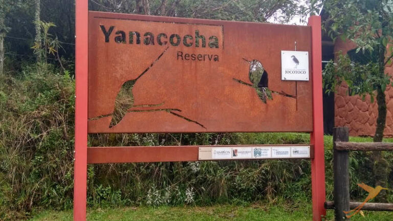 La reserva de Yanacocha está ubicada apenas a 45 minutos de Quito.
