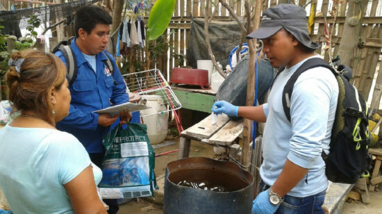 Brigadistas del Ministerio de Salud en un operativo contra criaderos de mosquitos.