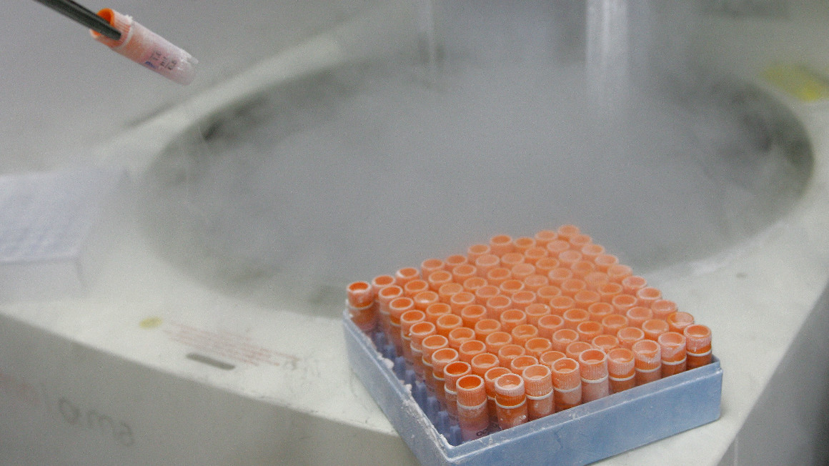 Un investigador científico manipula células madre embrionarias congeladas en un laboratorio, en el centro de investigación del genoma humano de la Universidad de Sao Paulo, en Sao Paulo, Brasil, el 4 de marzo de 2008.