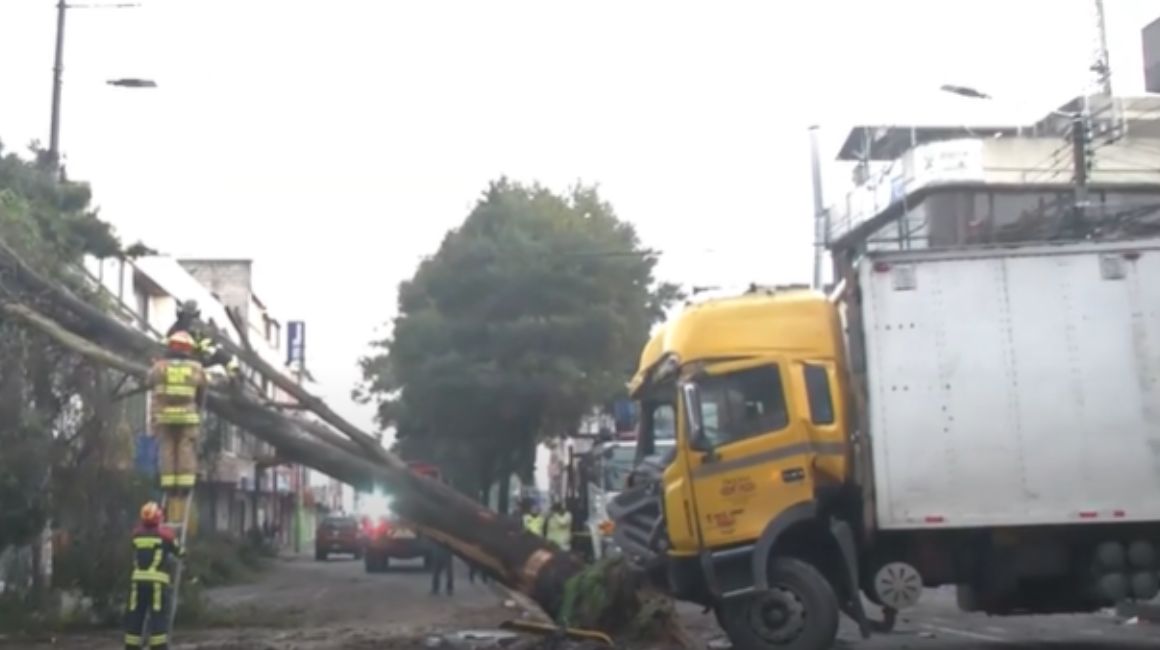 Un camión chocó contra un árbol en la avenida principal de Caparungo, Quito, el 28 de febrero de 2024.