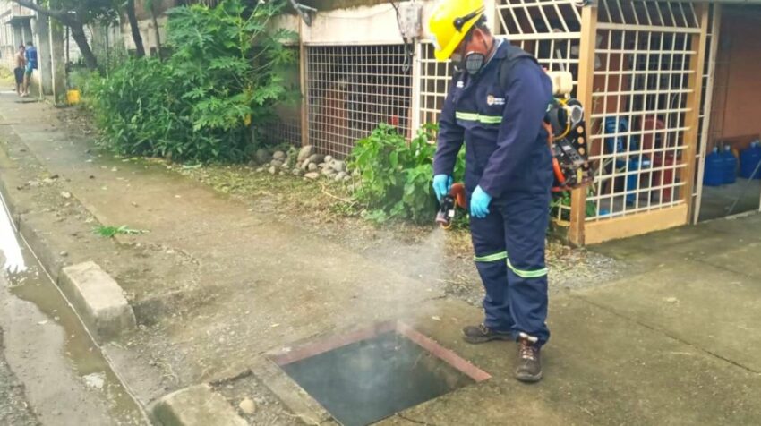 Alarmante Aumento Del Dengue En Ecuador: 8.000 Casos Y Siete Muertos En ...