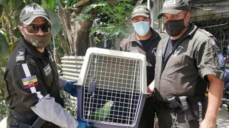 En siete provincias se rescatan más animales del tráfico ilegal