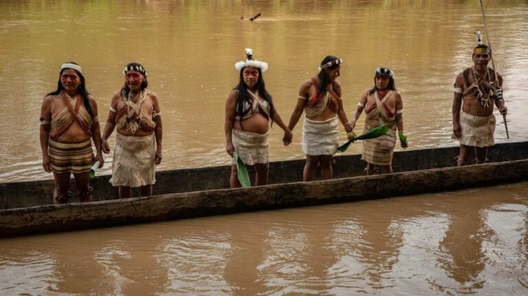 Proyecto Sacha, la iniciativa de Usaid y Fundación Pachamama a favor de la Amazonía en Ecuador