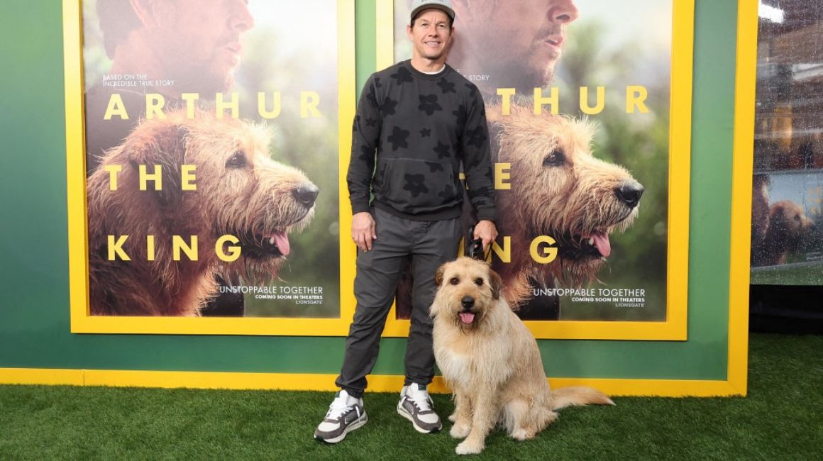 El actor Mark Wahlberg y el perrito que interpreta a 'Arthur' en el filme 'Arthur The King'.