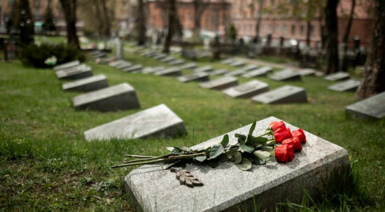 Imagen referencial de un cementerio con rosas en una tumba.
