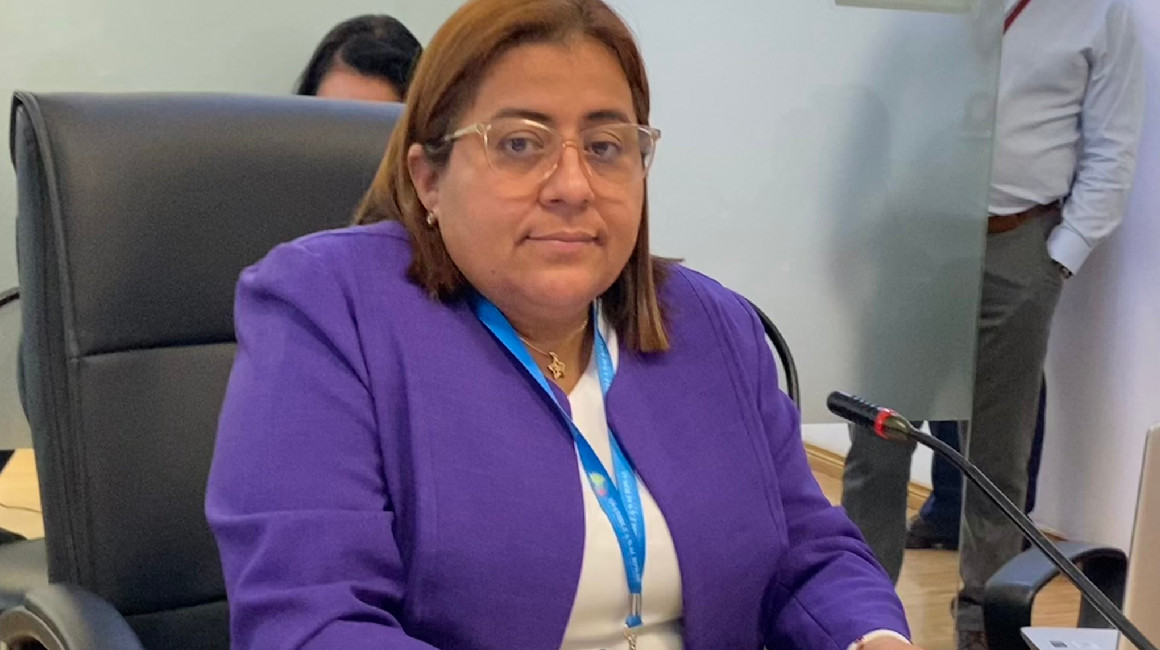 Lorena Rosado, asambleísta de ADN, en una sesión en marzo 2024.