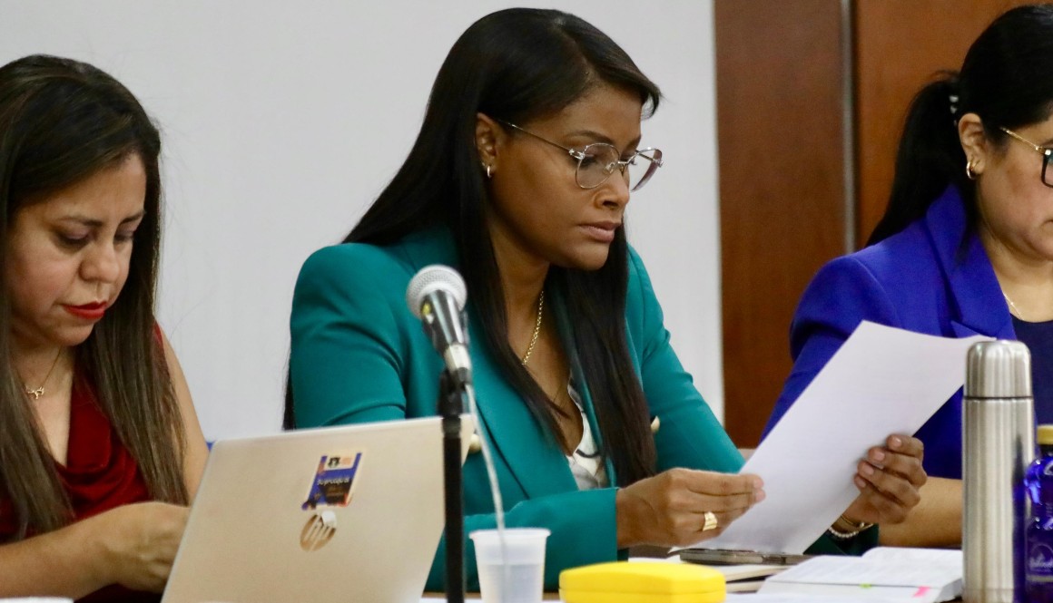 La fiscal general Diana Salazar, en una audiencia del caso Sinohydro, el 20 de marzo.