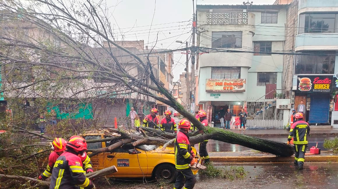 Conductor de taxi quedó atrapado tras caída de árbol en Quito