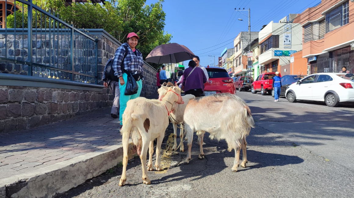 Una vendedora de leche de cabra en el sur de Quito, el 28 de marzo de 2024.