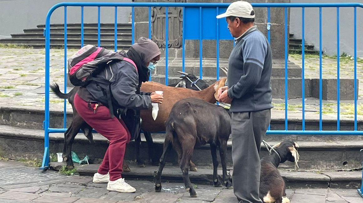 Una vendedora de leches de cabra en el Centro Histórico en Quito, en marzo de 2024.