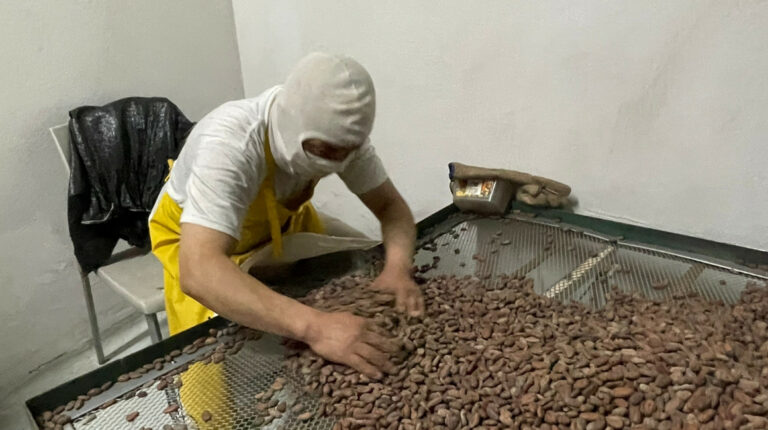 Precio del cacao superó la barrera de los USD 10.000 por tonelada